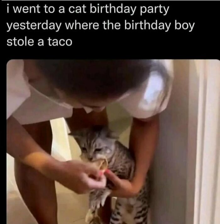 102 Wholesome Posts That Feel Like A Tiny Break From Everything Going Wrong
