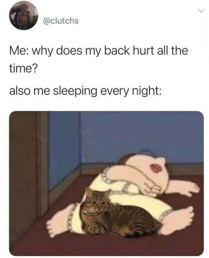 102 Wholesome Posts That Feel Like A Tiny Break From Everything Going Wrong