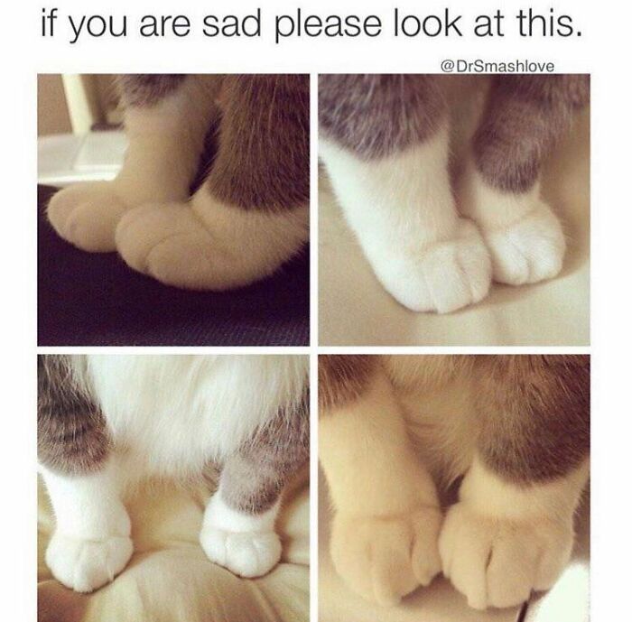 102 Wholesome Posts That Feel Like A Tiny Break From Everything Going Wrong