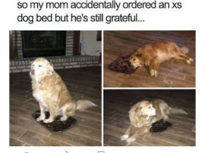 102 Wholesome Posts That Feel Like A Tiny Break From Everything Going Wrong