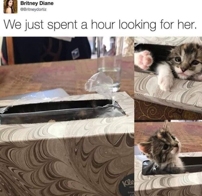 102 Wholesome Posts That Feel Like A Tiny Break From Everything Going Wrong