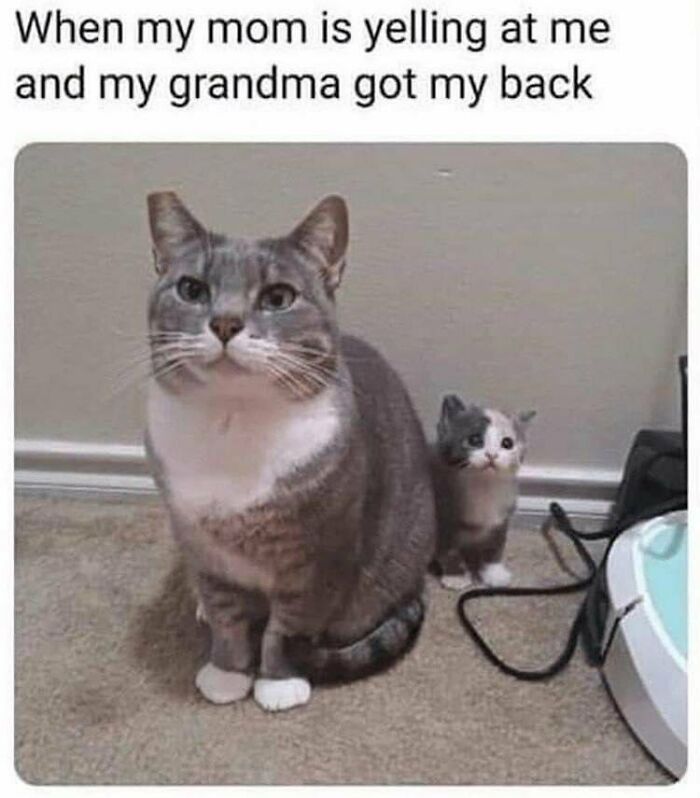 102 Wholesome Posts That Feel Like A Tiny Break From Everything Going Wrong