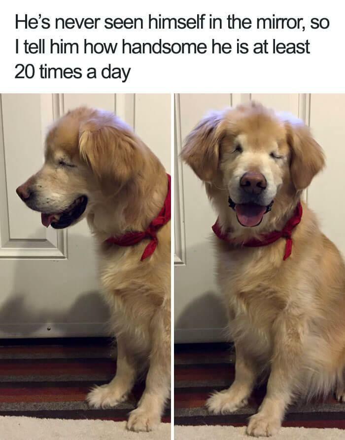 102 Wholesome Posts That Feel Like A Tiny Break From Everything Going Wrong