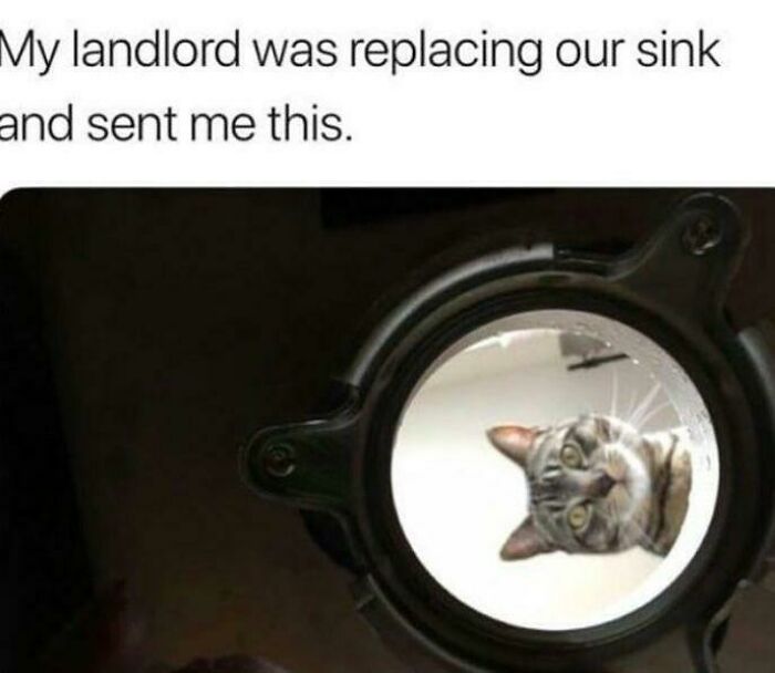 102 Wholesome Posts That Feel Like A Tiny Break From Everything Going Wrong