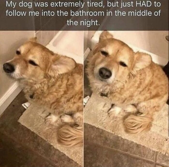 102 Wholesome Posts That Feel Like A Tiny Break From Everything Going Wrong