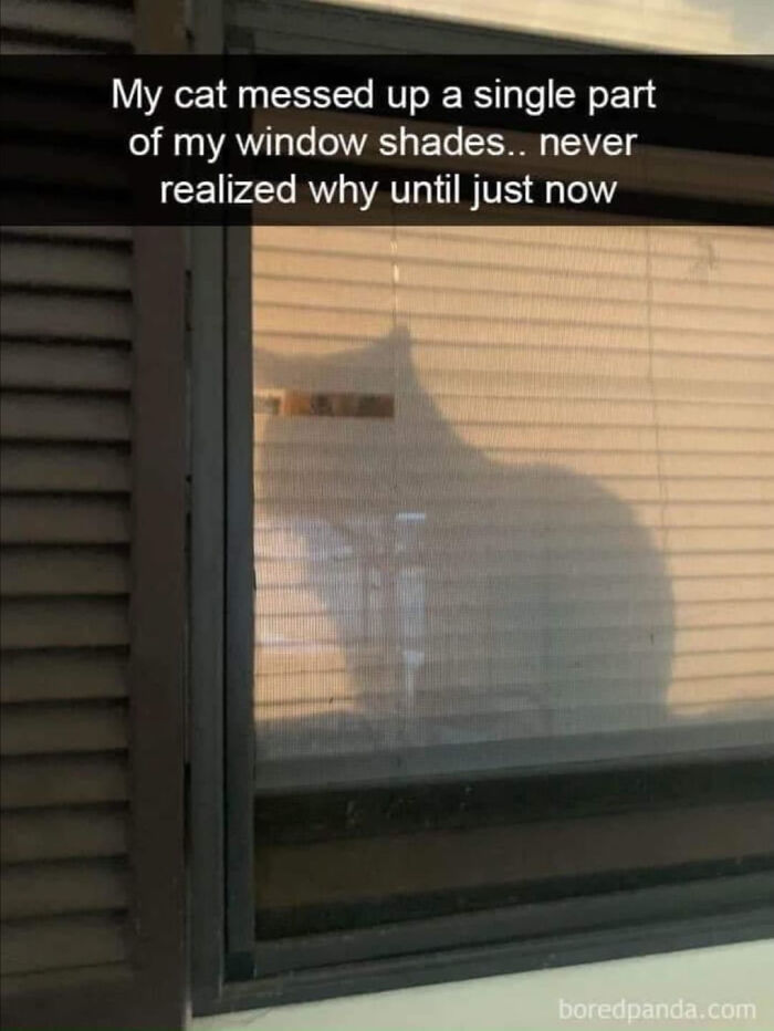 102 Wholesome Posts That Feel Like A Tiny Break From Everything Going Wrong