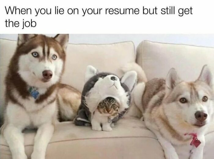 102 Wholesome Posts That Feel Like A Tiny Break From Everything Going Wrong