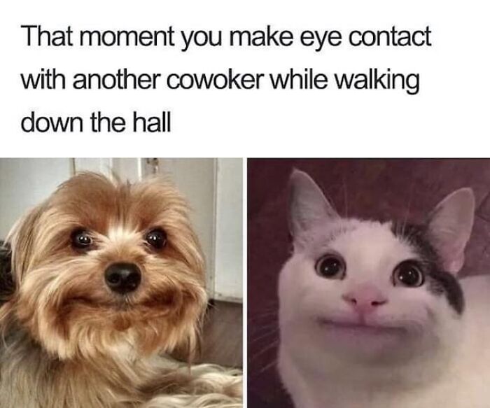 102 Wholesome Posts That Feel Like A Tiny Break From Everything Going Wrong