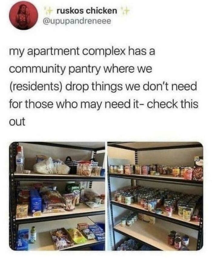102 Wholesome Posts That Feel Like A Tiny Break From Everything Going Wrong