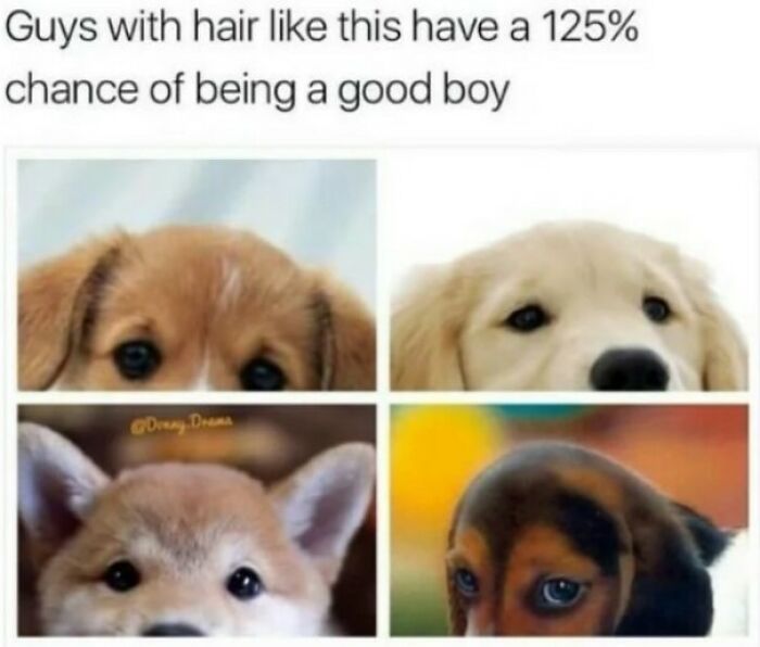 102 Wholesome Posts That Feel Like A Tiny Break From Everything Going Wrong