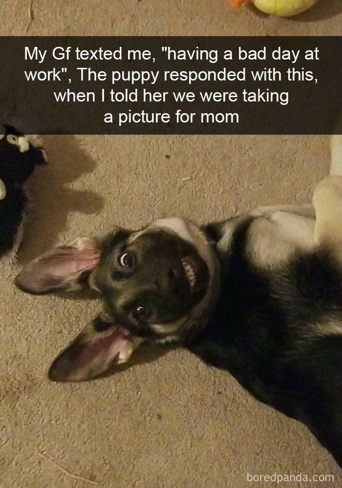 102 Wholesome Posts That Feel Like A Tiny Break From Everything Going Wrong