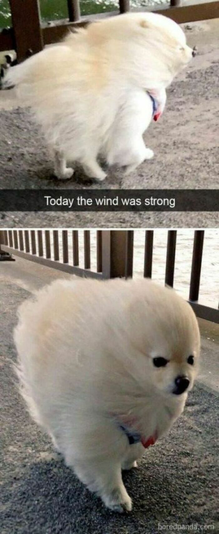 102 Wholesome Posts That Feel Like A Tiny Break From Everything Going Wrong