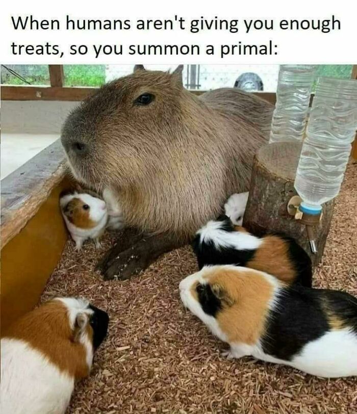 102 Wholesome Posts That Feel Like A Tiny Break From Everything Going Wrong