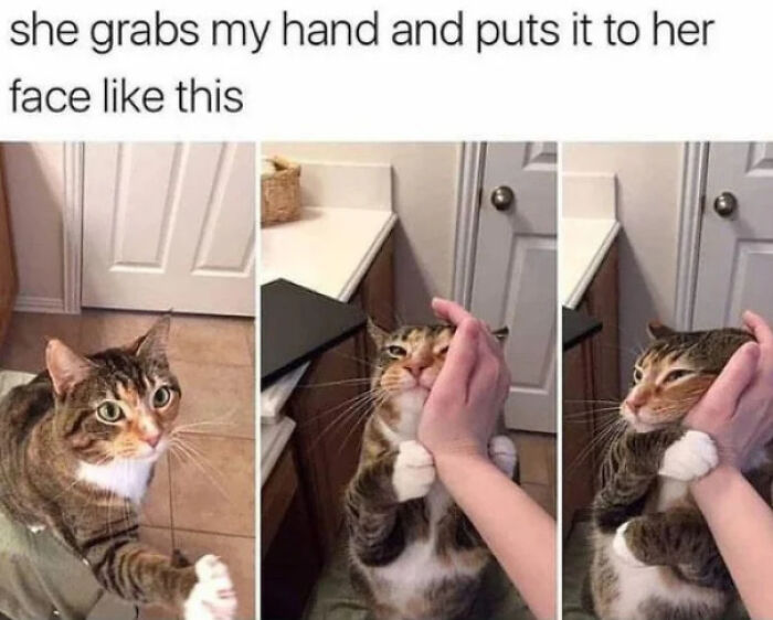 102 Wholesome Posts That Feel Like A Tiny Break From Everything Going Wrong