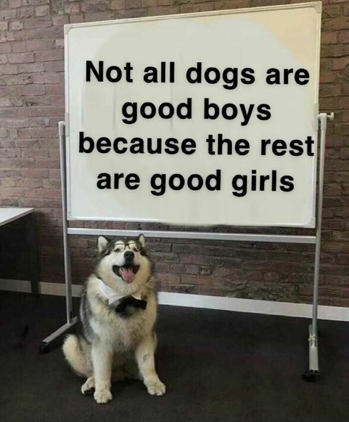 102 Wholesome Posts That Feel Like A Tiny Break From Everything Going Wrong