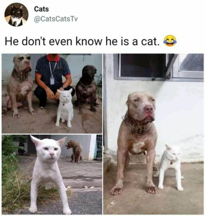 102 Wholesome Posts That Feel Like A Tiny Break From Everything Going Wrong