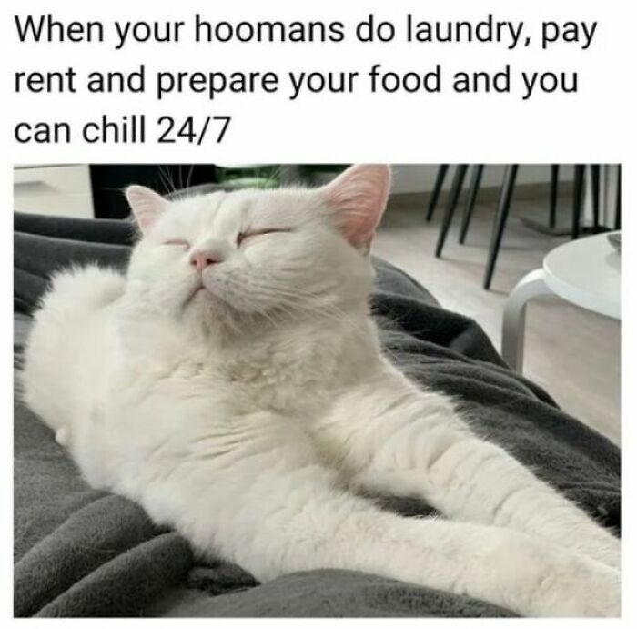 102 Wholesome Posts That Feel Like A Tiny Break From Everything Going Wrong
