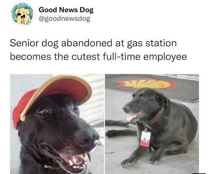 102 Wholesome Posts That Feel Like A Tiny Break From Everything Going Wrong