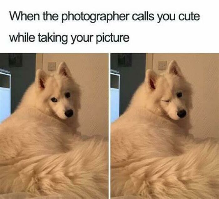 102 Wholesome Posts That Feel Like A Tiny Break From Everything Going Wrong
