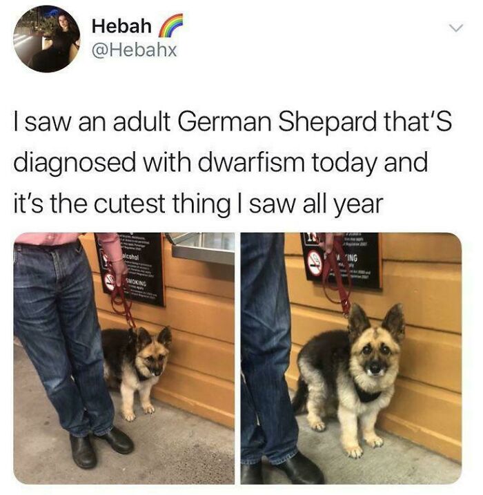 102 Wholesome Posts That Feel Like A Tiny Break From Everything Going Wrong
