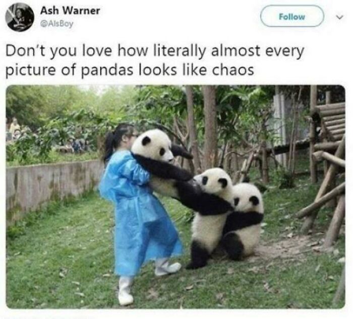 102 Wholesome Posts That Feel Like A Tiny Break From Everything Going Wrong