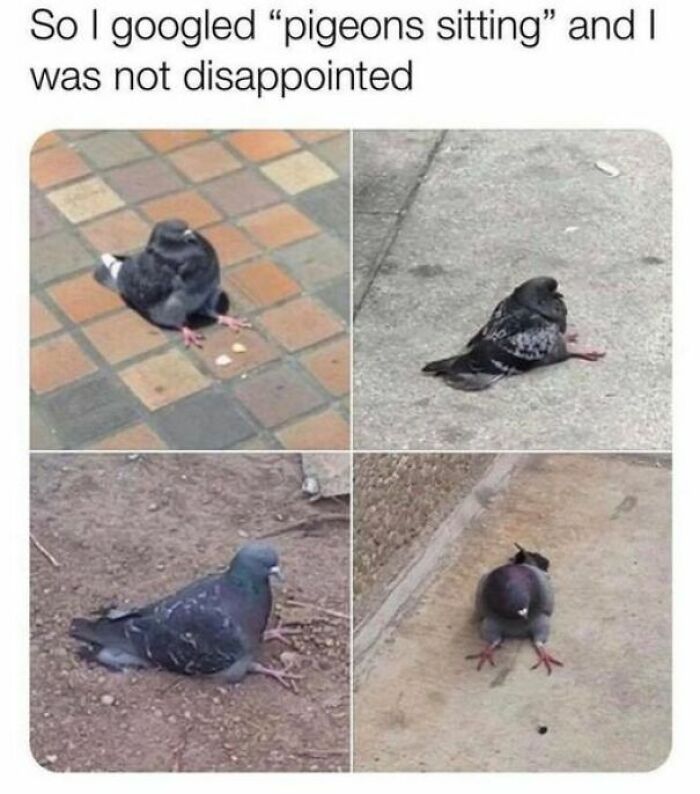 102 Wholesome Posts That Feel Like A Tiny Break From Everything Going Wrong