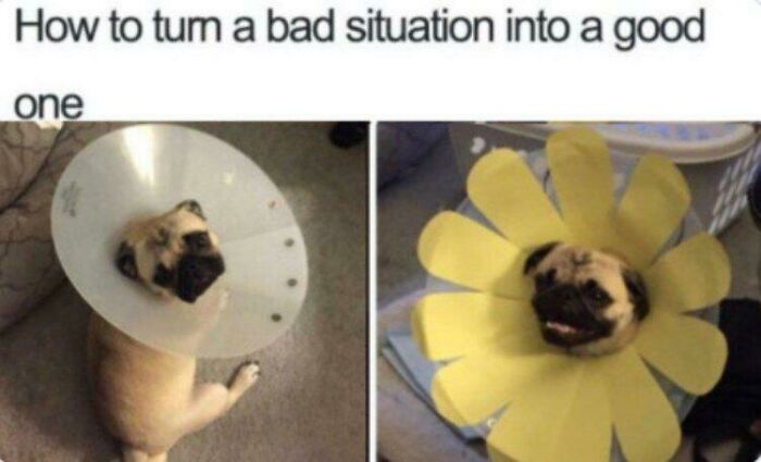 102 Wholesome Posts That Feel Like A Tiny Break From Everything Going Wrong