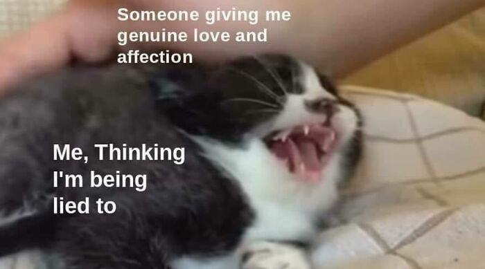 102 Wholesome Posts That Feel Like A Tiny Break From Everything Going Wrong