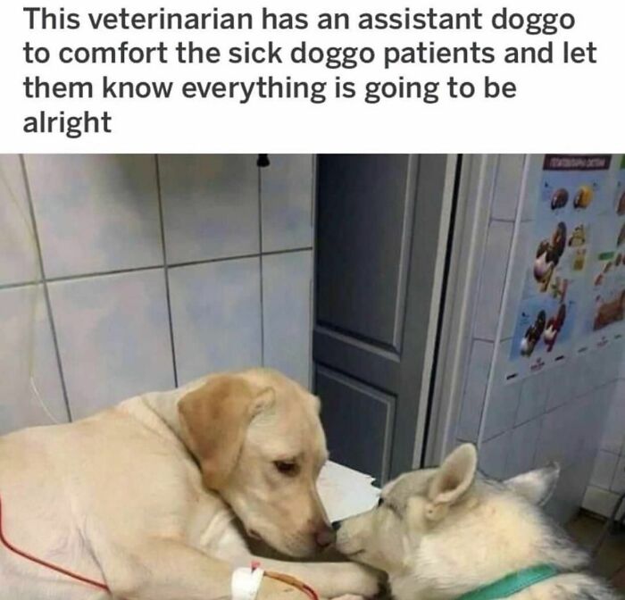 102 Wholesome Posts That Feel Like A Tiny Break From Everything Going Wrong