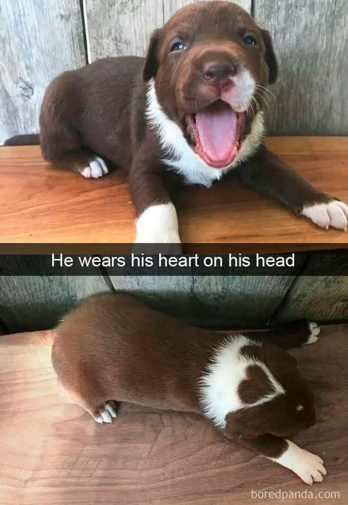 102 Wholesome Posts That Feel Like A Tiny Break From Everything Going Wrong