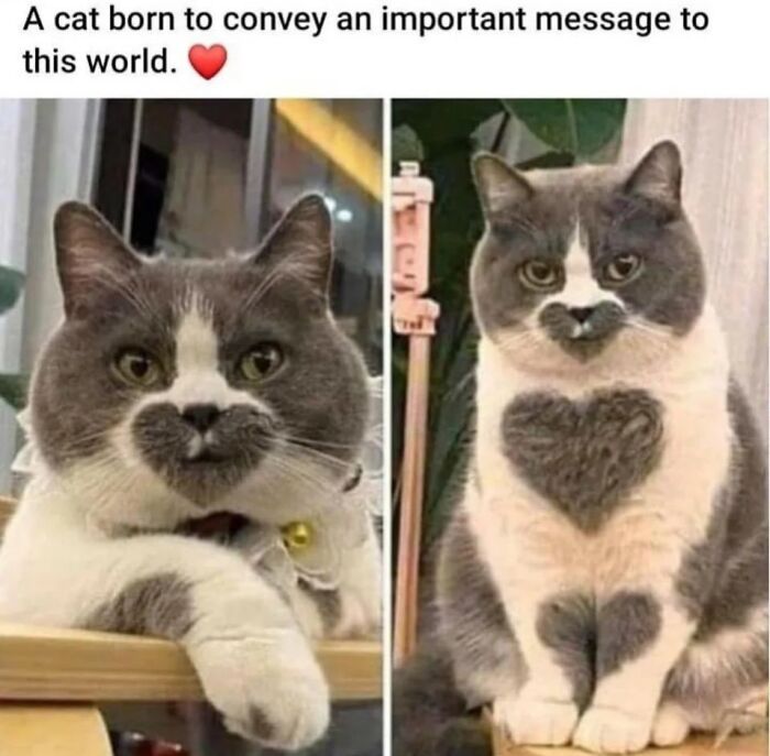 102 Wholesome Posts That Feel Like A Tiny Break From Everything Going Wrong