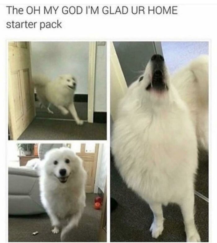 102 Wholesome Posts That Feel Like A Tiny Break From Everything Going Wrong
