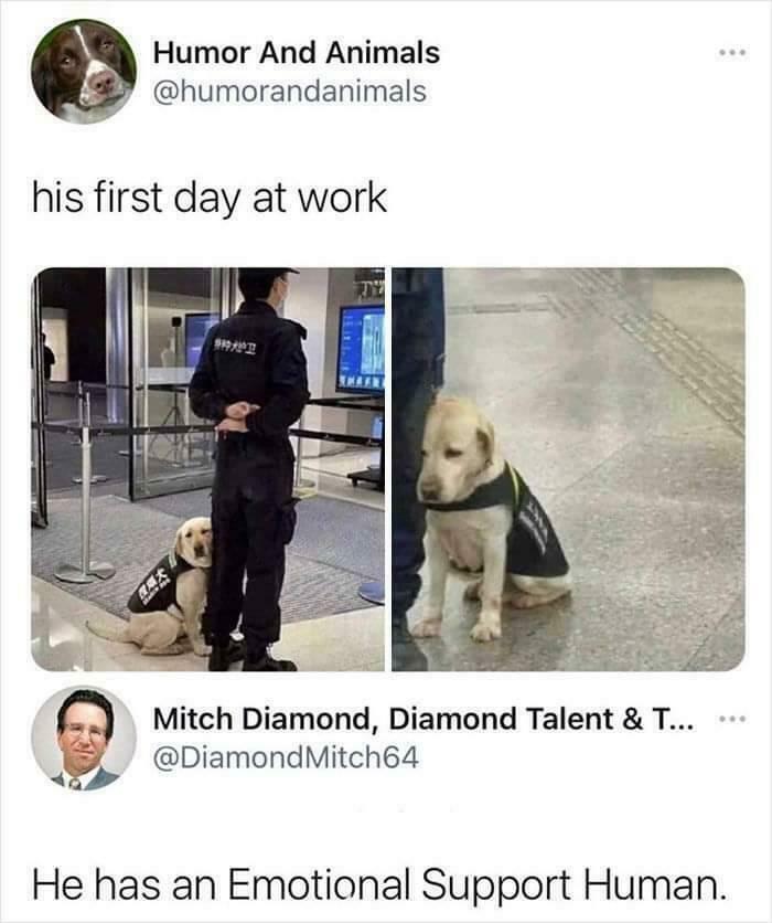 102 Wholesome Posts That Feel Like A Tiny Break From Everything Going Wrong