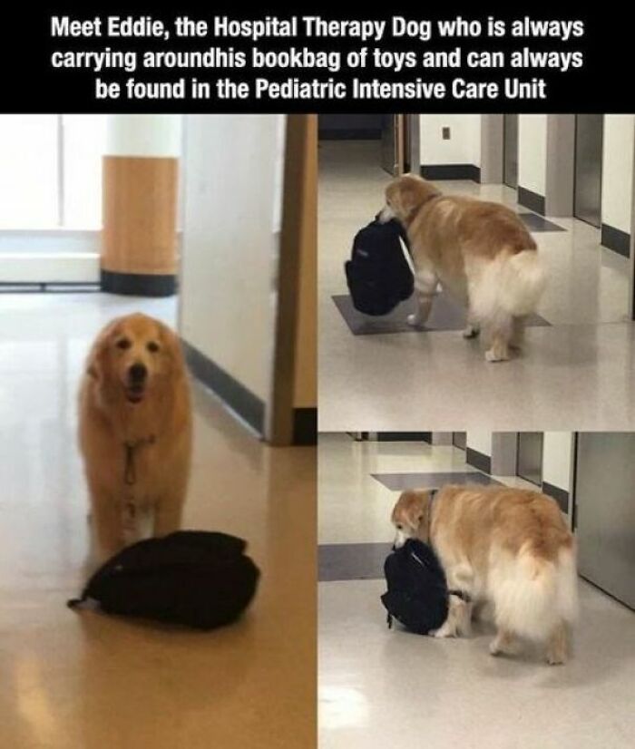 102 Wholesome Posts That Feel Like A Tiny Break From Everything Going Wrong