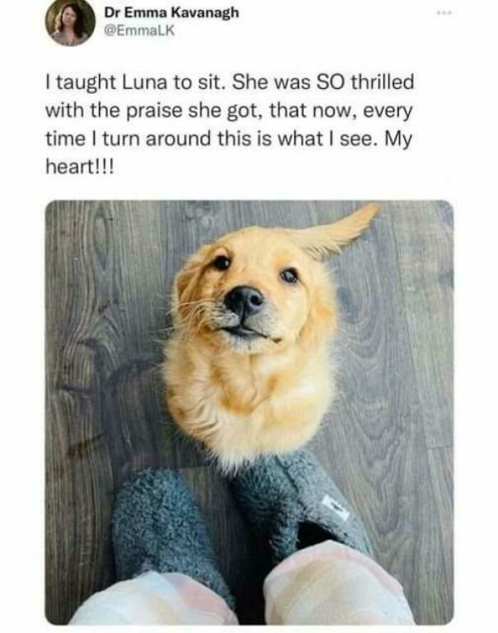 102 Wholesome Posts That Feel Like A Tiny Break From Everything Going Wrong
