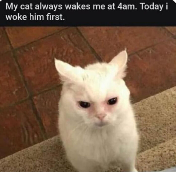 102 Wholesome Posts That Feel Like A Tiny Break From Everything Going Wrong
