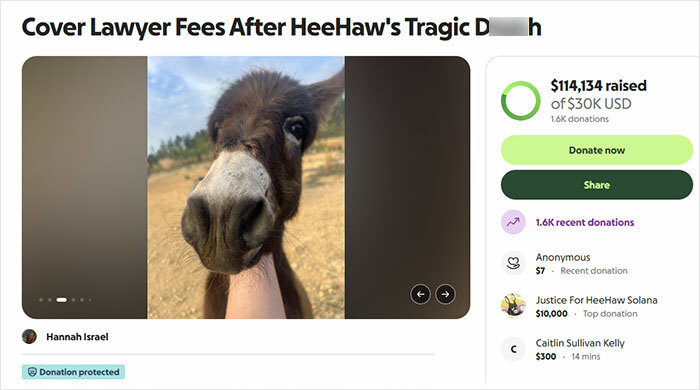 Officer Facing Backlash After Entering Family’s Pasture Without Permission And Firing On Their Baby Pet Donkey Officer Facing Backlash After Entering Family’s Pasture Without Permission And Firing On Their Baby Pet Donkey
