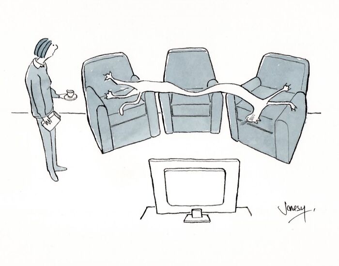 40 Brilliantly Dry Cartoons By Jonesy About The Absurdities Of Everyday Life