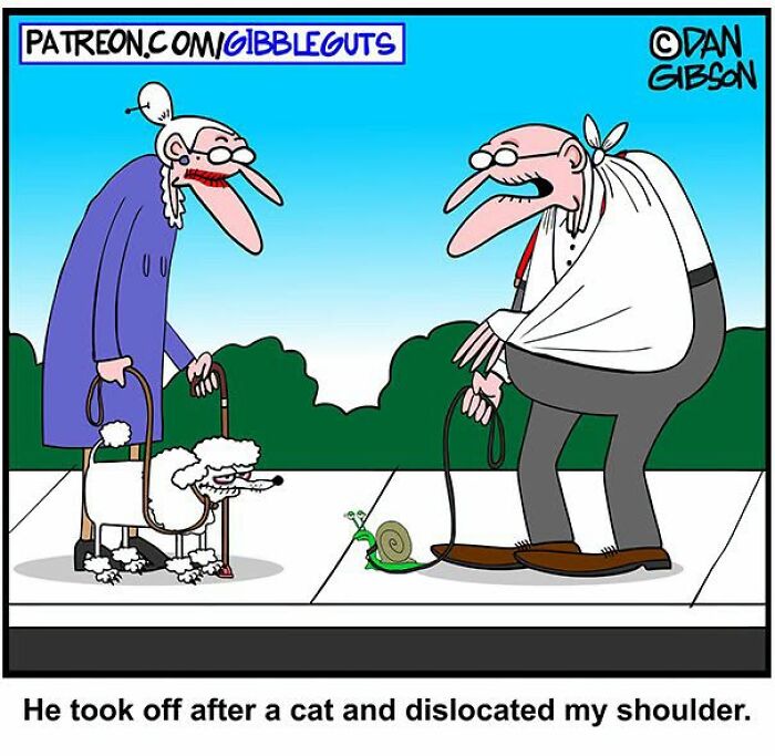 Dan Gibson Created 46 New Comics That Make Senior Life Look Wildly Entertaining Dan Gibson Created 46 New Comics That Make Senior Life Look Wildly Entertaining