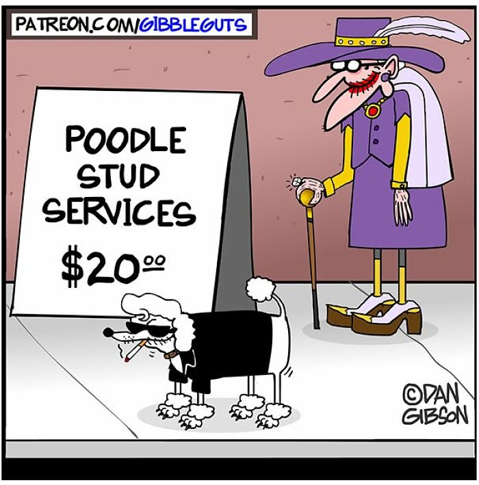 Dan Gibson Created 46 New Comics That Make Senior Life Look Wildly Entertaining Dan Gibson Created 46 New Comics That Make Senior Life Look Wildly Entertaining