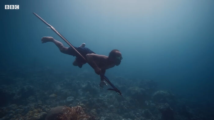 Isolated Tribe Can Swim Underwater For Long Hours, Which Has Developed A “New Mutant Gene” Isolated Tribe Can Swim Underwater For Long Hours, Which Has Developed A “New Mutant Gene”