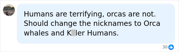 Orcas Prove Their Outstanding Cognitive Abilities Once More, Trying To Imitate Simple Human Words Orcas Prove Their Outstanding Cognitive Abilities Once More, Trying To Imitate Simple Human Words