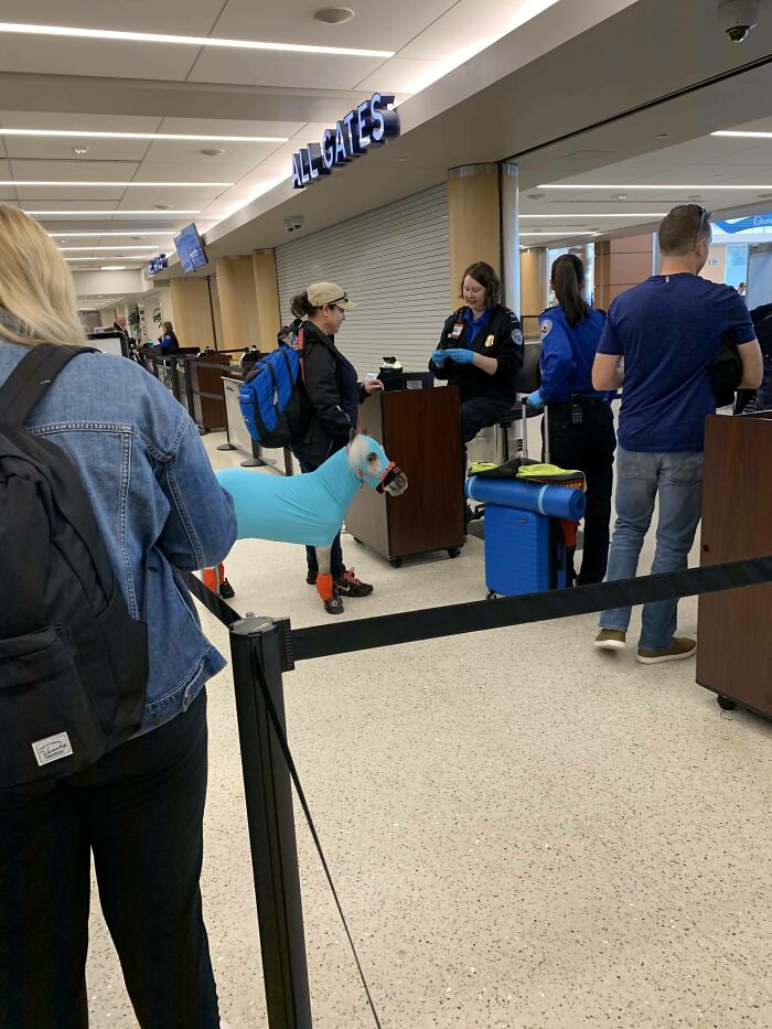 56 Hilarious And Weird Things Spotted At Airports That Nobody Could Have Prepared For 56 Hilarious And Weird Things Spotted At Airports That Nobody Could Have Prepared For