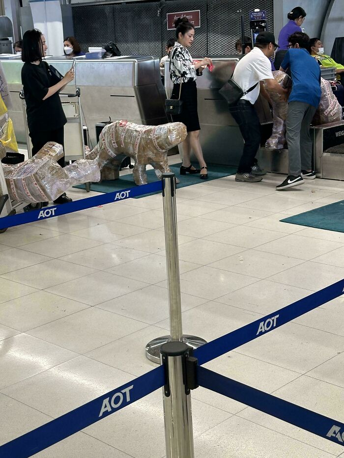 56 Hilarious And Weird Things Spotted At Airports That Nobody Could Have Prepared For 56 Hilarious And Weird Things Spotted At Airports That Nobody Could Have Prepared For