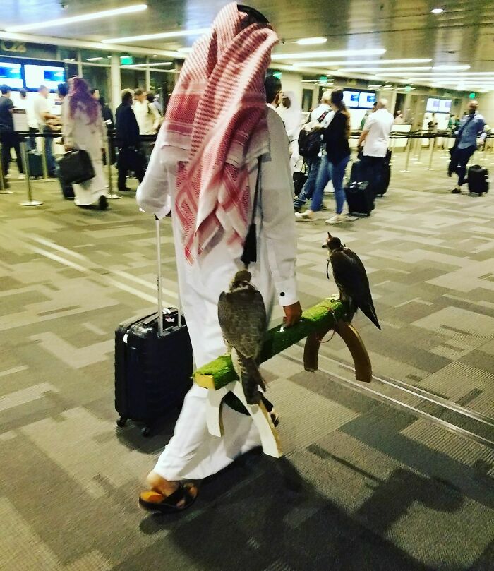 56 Hilarious And Weird Things Spotted At Airports That Nobody Could Have Prepared For 56 Hilarious And Weird Things Spotted At Airports That Nobody Could Have Prepared For