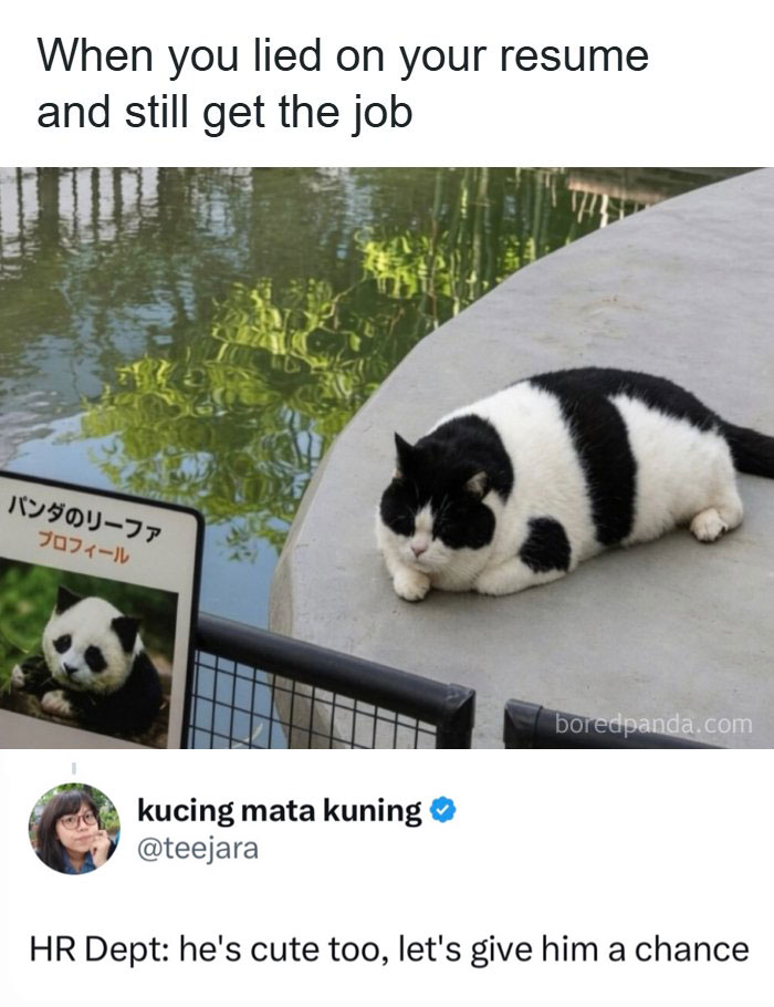 Some Days Just Feel Like A Meme, Here Are 60 That Capture It Perfectly Some Days Just Feel Like A Meme, Here Are 60 That Capture It Perfectly