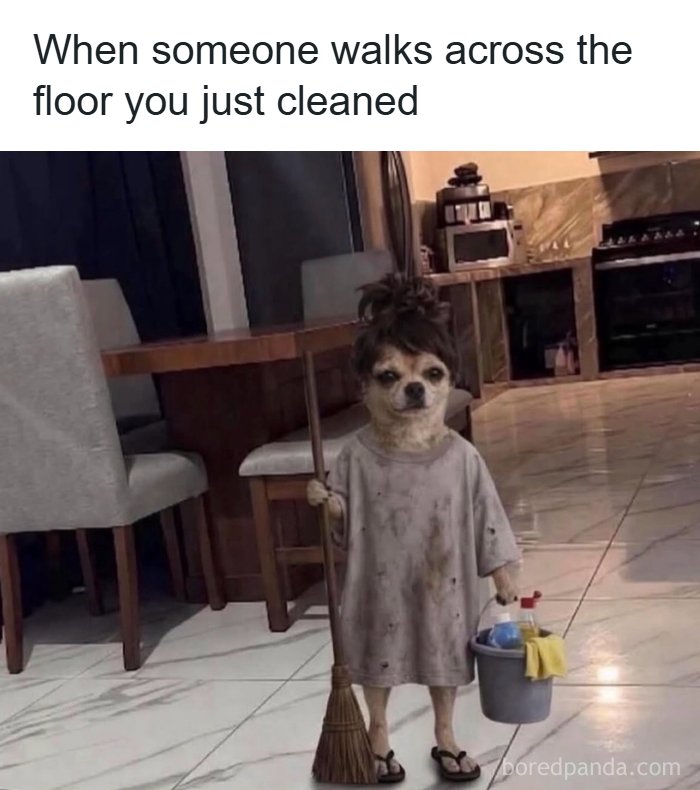 Some Days Just Feel Like A Meme, Here Are 60 That Capture It Perfectly Some Days Just Feel Like A Meme, Here Are 60 That Capture It Perfectly