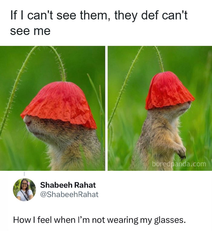Some Days Just Feel Like A Meme, Here Are 60 That Capture It Perfectly Some Days Just Feel Like A Meme, Here Are 60 That Capture It Perfectly