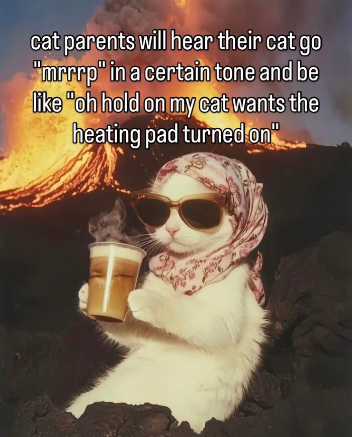 Some Days Just Feel Like A Meme, Here Are 60 That Capture It Perfectly Some Days Just Feel Like A Meme, Here Are 60 That Capture It Perfectly