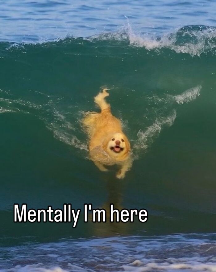 Some Days Just Feel Like A Meme, Here Are 60 That Capture It Perfectly Some Days Just Feel Like A Meme, Here Are 60 That Capture It Perfectly
